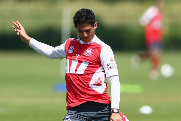 Colosimo to pose as sideline pundit - Melbourne City