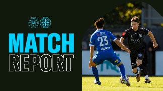 NPLM REPORT: Avondale v City